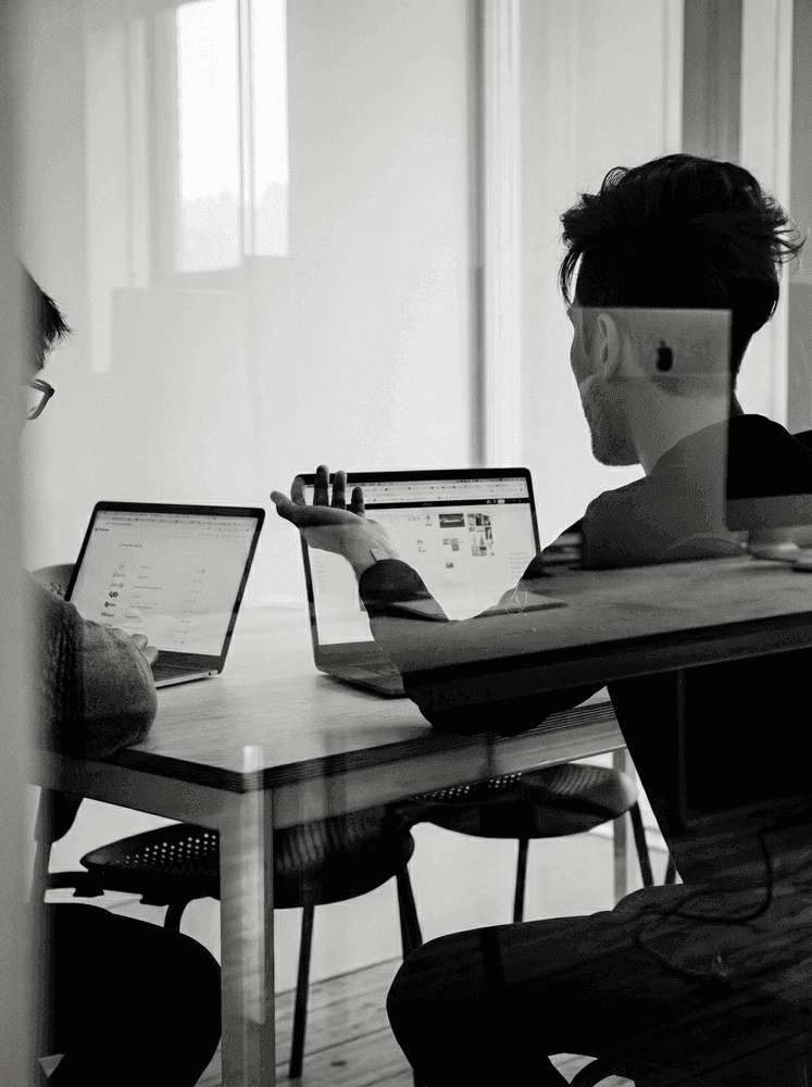 Should You Set Up a ZZP or BV for Your DAFT Visa?