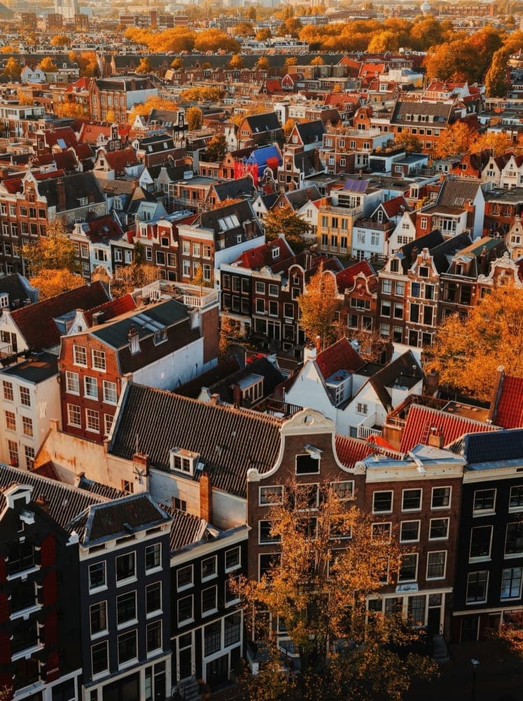 How Do You Find Housing in the Netherlands on a DAFT Visa?