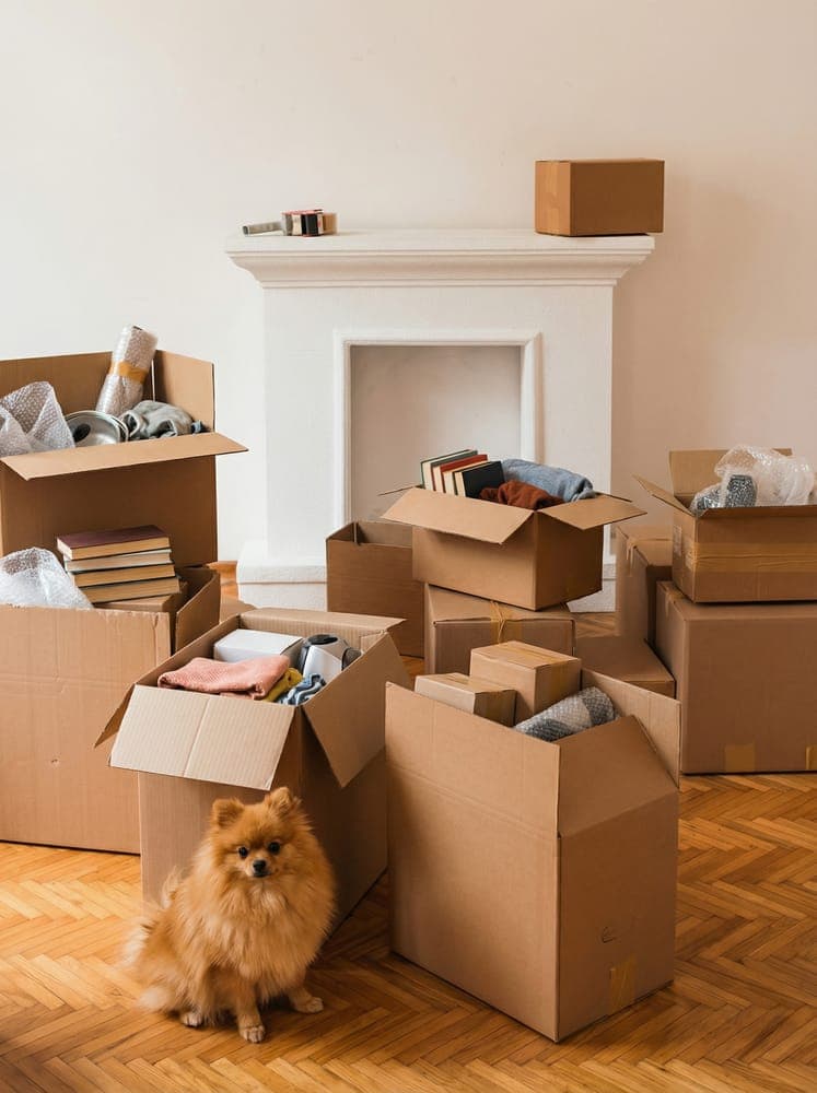 How Do You Ship Your Belongings from the US to Spain?